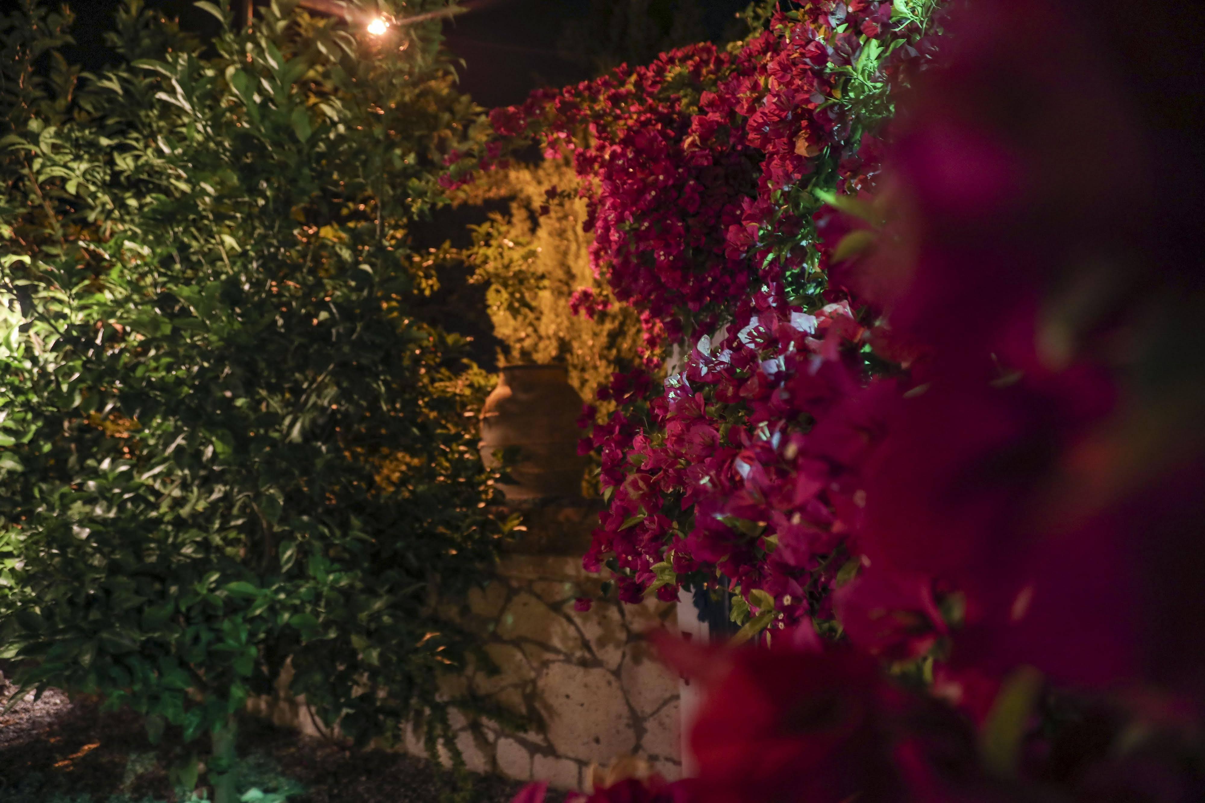 Sari Gelin Alacati Hotel Екстериор снимка