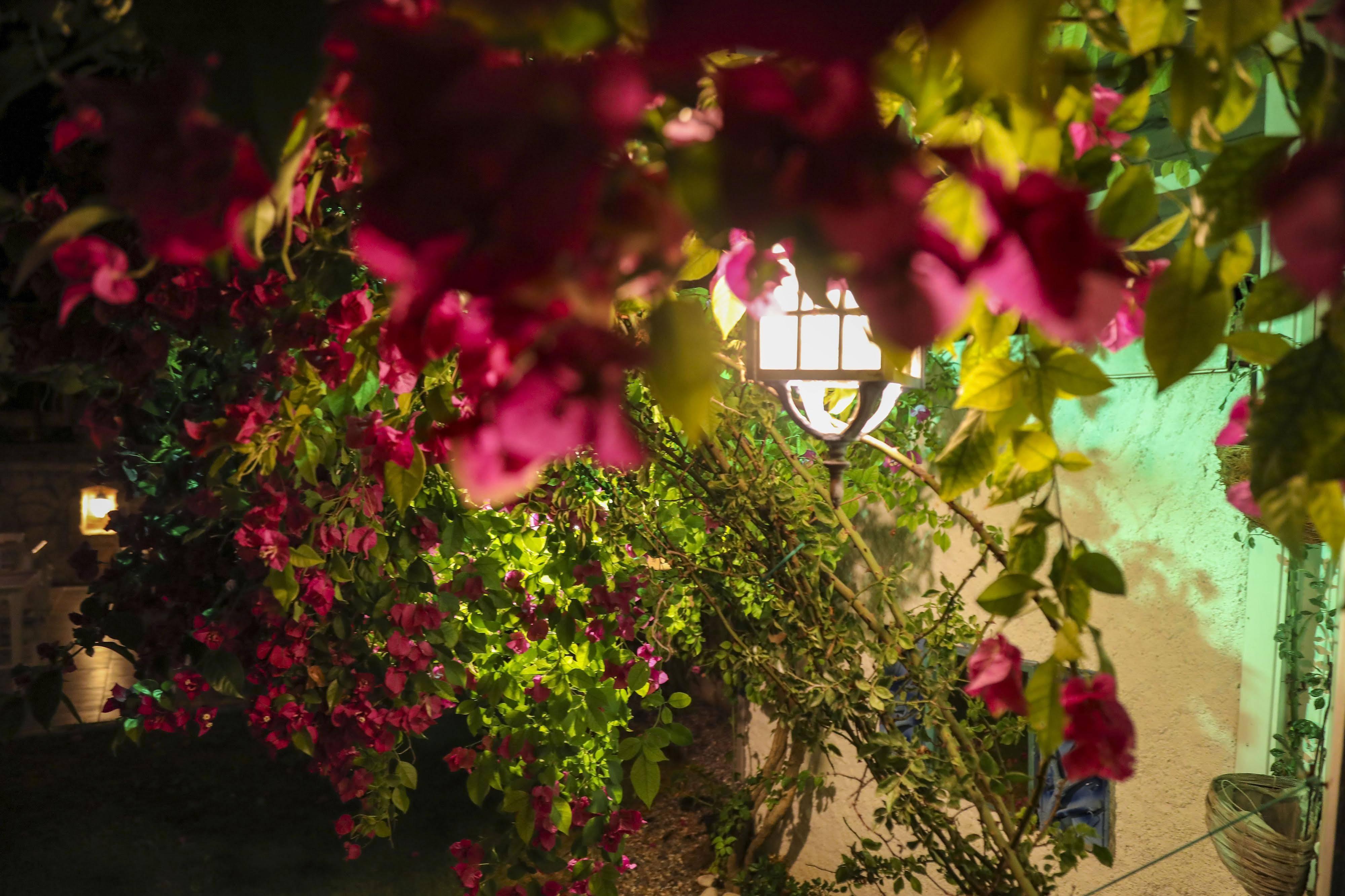 Sari Gelin Alacati Hotel Екстериор снимка